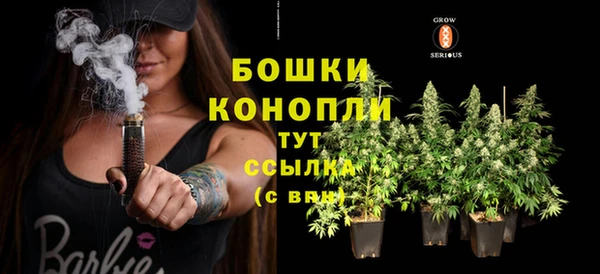 таблы Новозыбков